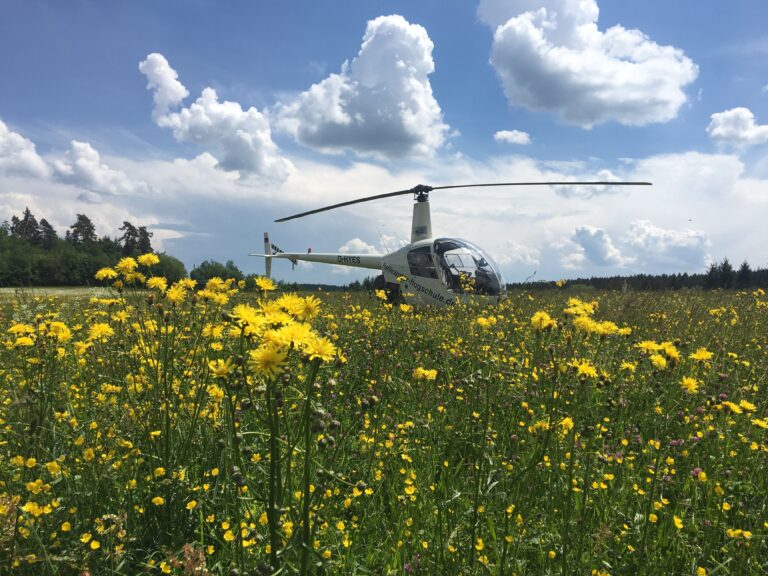 Training Kleinorientierung
